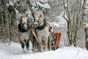 Slevy na dopravu pro invalidní důchodce: Jak získat výhody