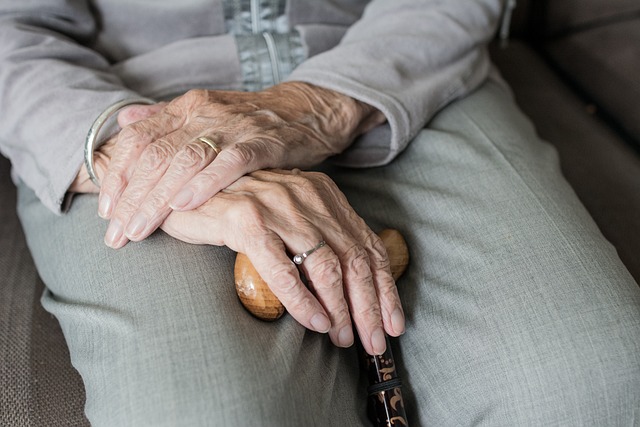 Byty pro důchodce: Ubytování s péčí a komfortem