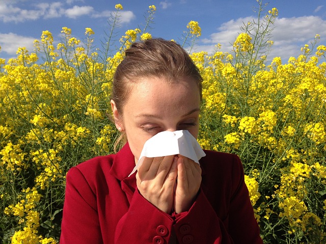 Jaké jsou nejčastější alergeny v domácnosti?