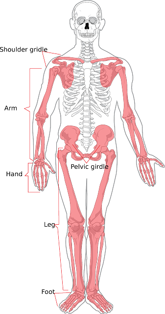 Babské rady na ⁢osteoporozu: Zdravé⁢ kosti‍ v každém věku