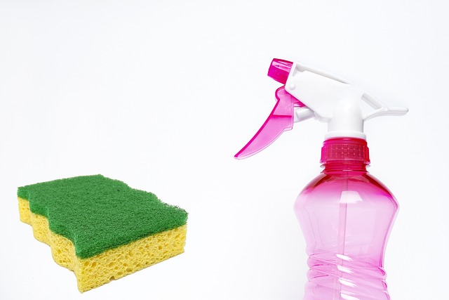 3. Jak správně vyčistit domácnost a zabránit opětovnému napadení blechami