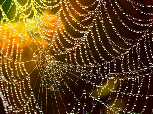 8. Jak zacházet s pavoučími sítěmi: Rychlé a snadné techniky na odstranění​ pavoučích sítí z domova