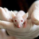 Spálená záda? Babské rady na rychlou úlevu 3. Přírodní léky a obklady: Účinné metody na zmírnění pálení a úlevu pro vaše záda