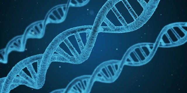 DNA: Babské rady na prevenci a léčbu