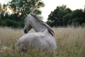 Plíseň na nohou: Babské rady na zdravé nohy