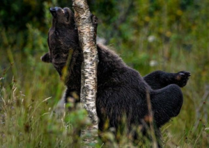 Co na ekzém babské rady: Jak se zbavit svědění a vyrážky