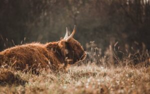 Jak na hemeroidy? Babské rady na pohodlný život