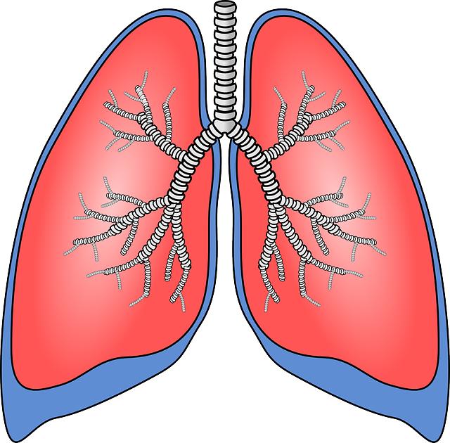 Přehled o nemoci průdušek: Jak rozpoznat ‍a léčit dýchací obtíže