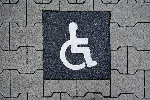4. Podpora a programy pro integraci invalidů na pracovní trh