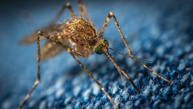 4. Jak se chránit před⁣ komáry: Správná volba oblečení‌ a⁢ repelentů