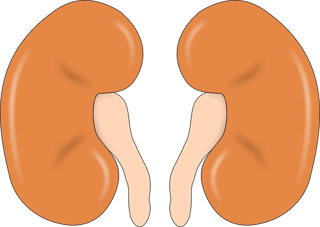 8.⁣ Domača⁤ poradna: Nejlepší babské rady pro péči ⁣o ledviny a prevence‌ tvorby kamenů