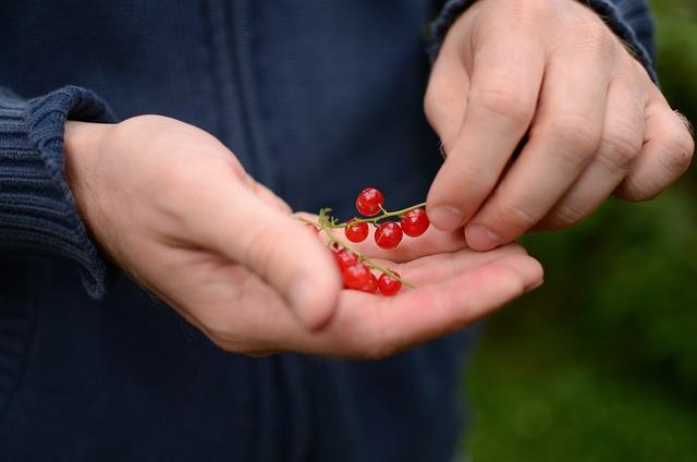 Důležité faktory při výběru jistého důchodu pro váš rozpočet