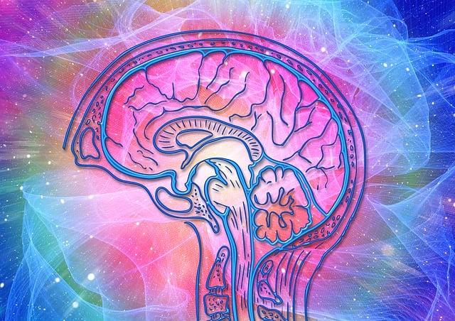 Kognitivní trénink a terapie jako prostředky pro zlepšení funkce mozku u seniorů
