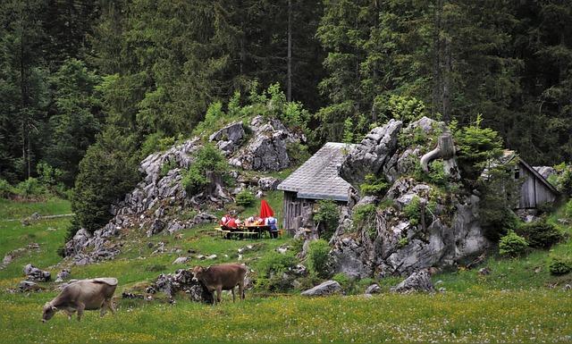 Podrobné tipy a doporučení, jak si zajistit nový evidenční list důchodového pojištění